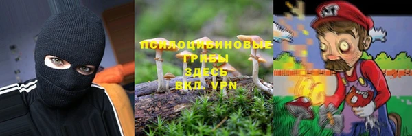 a pvp Аркадак