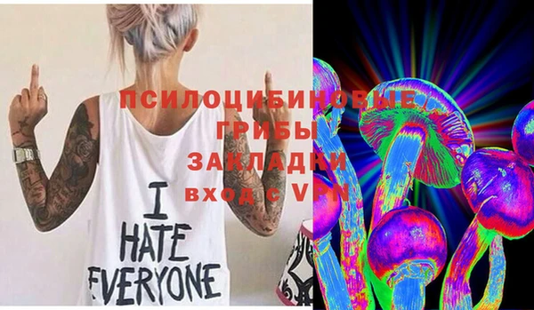 a pvp Аркадак
